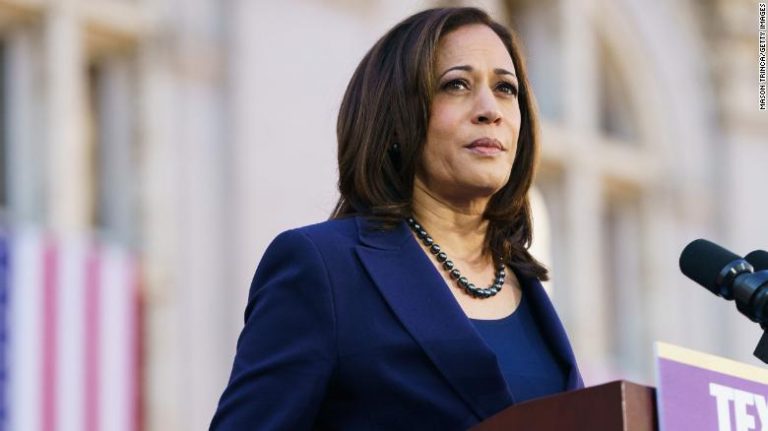 Kamala Harris warns domestic threats to democracy are harming America at home and abroad