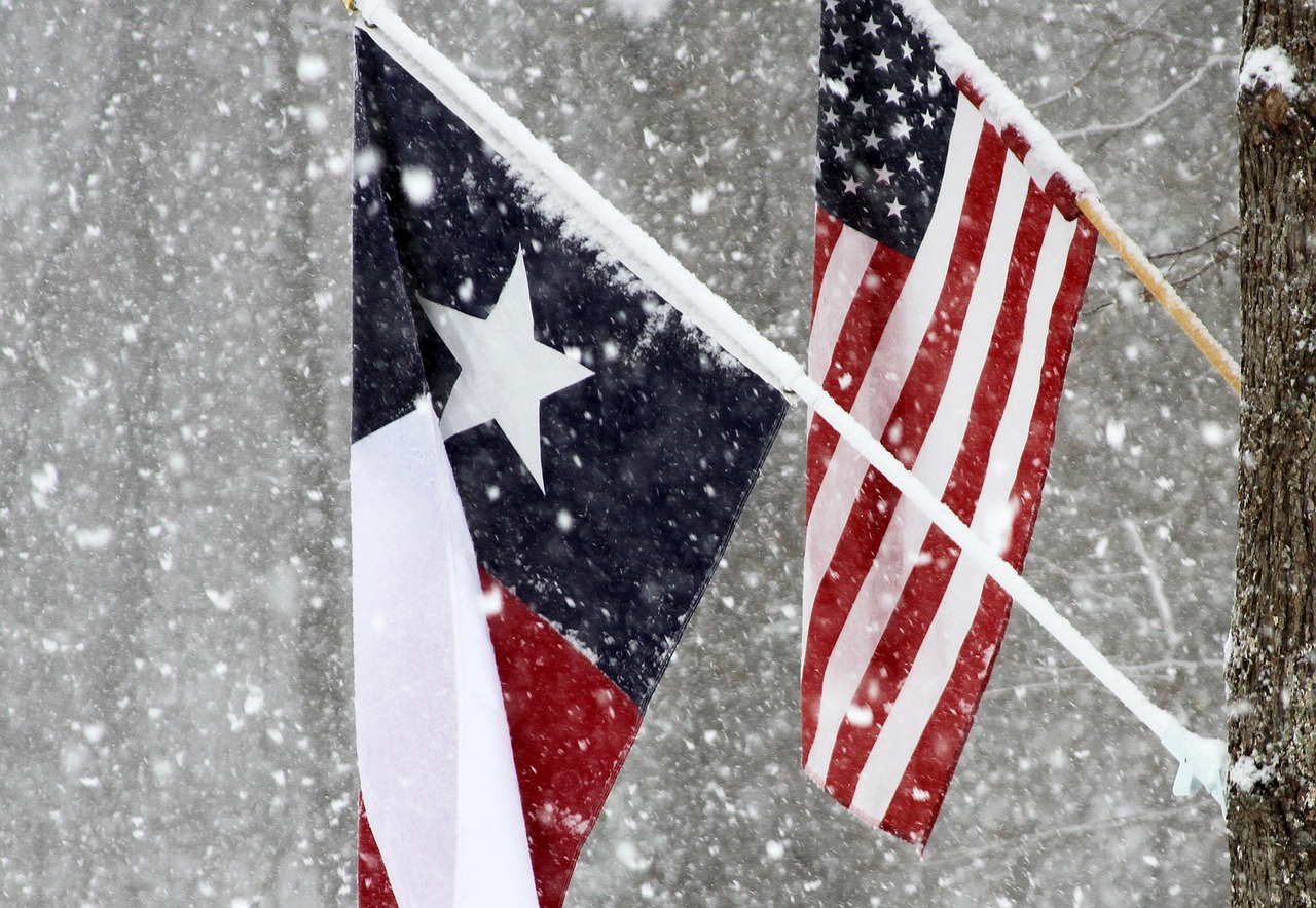Texas Snow Flag