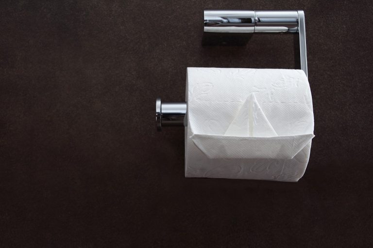 Trump denies reports of clogging White House toilets by flushing wads of paper