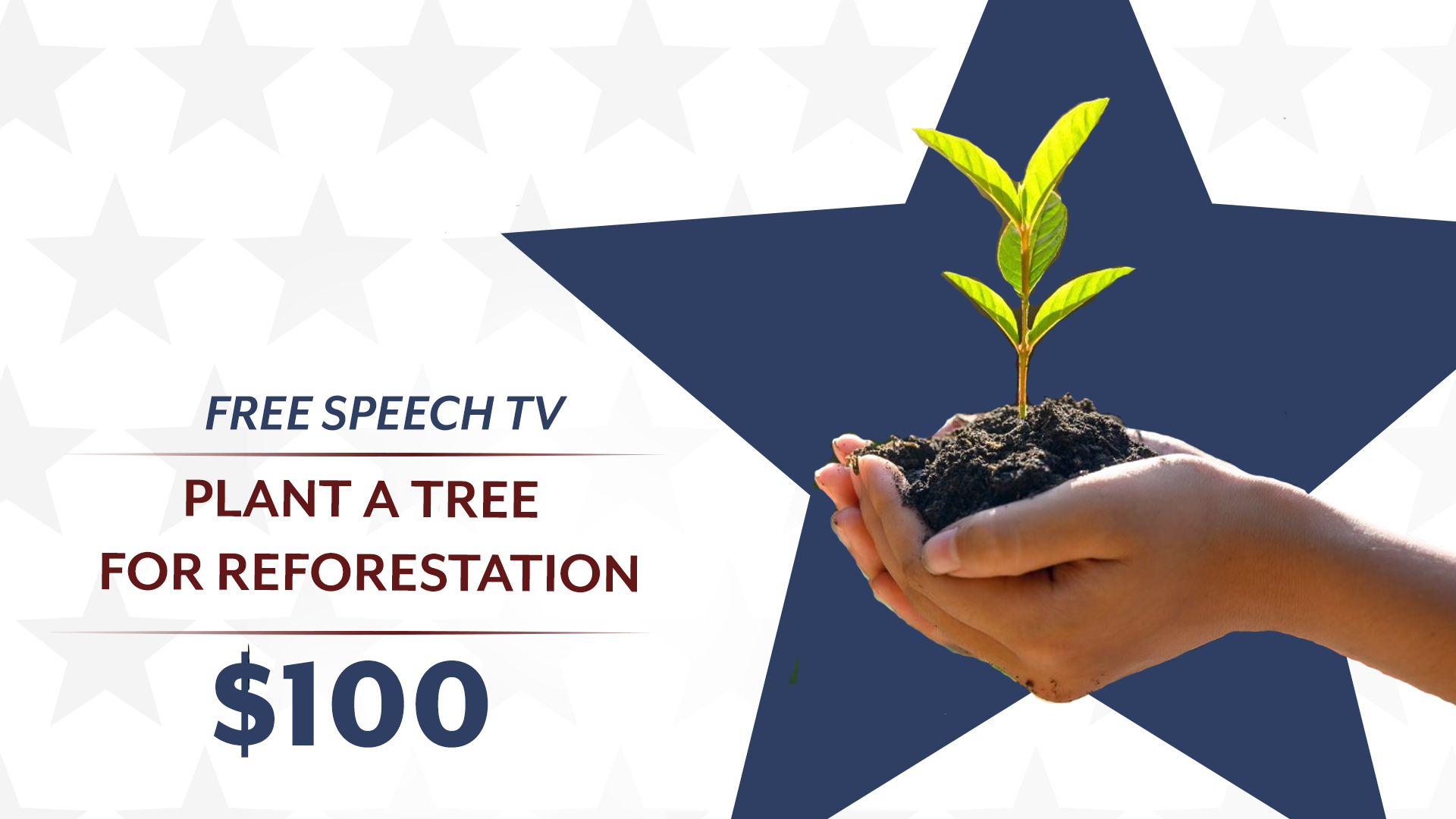 FSTV Plant A Tree