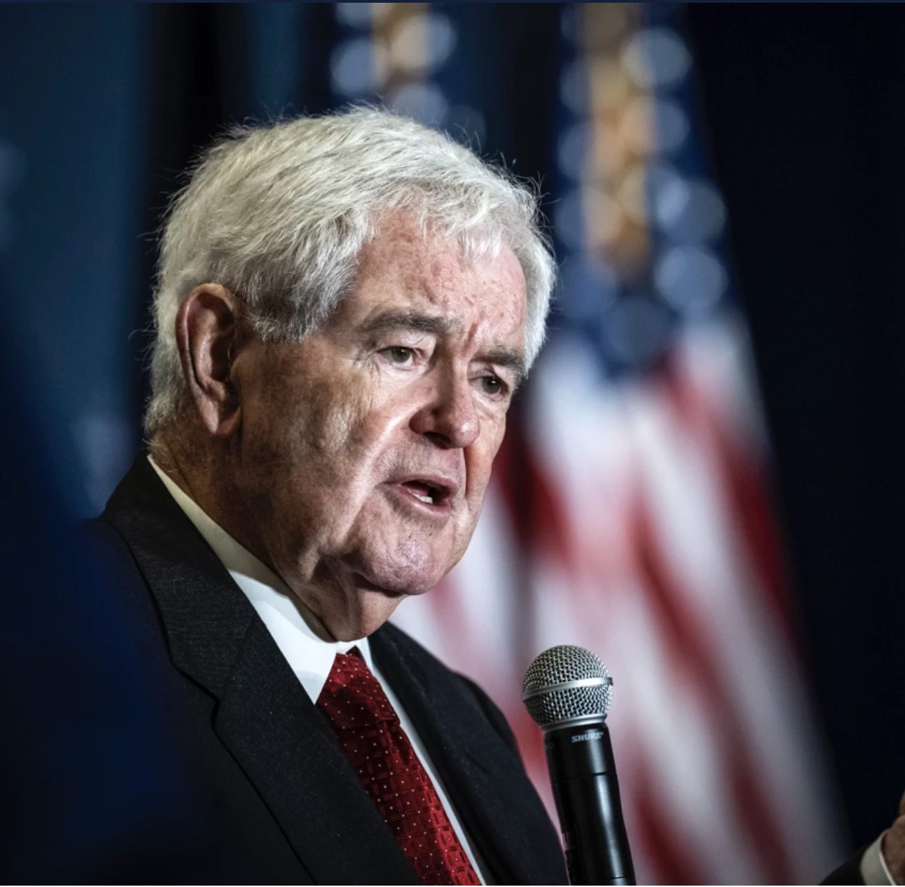 Newt Gingrich